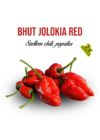 Kép 3/3 - Szellem chili - Bhut Jolokia Red fa kaspóba