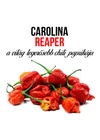 Kép 3/3 - Carolina Reaper chili paprika növény nevelő szett