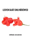 Kép 2/3 - Nepáli harang chili paprika növény nevelő szett