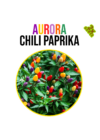 Aurora chili paprika növény nevelő szett