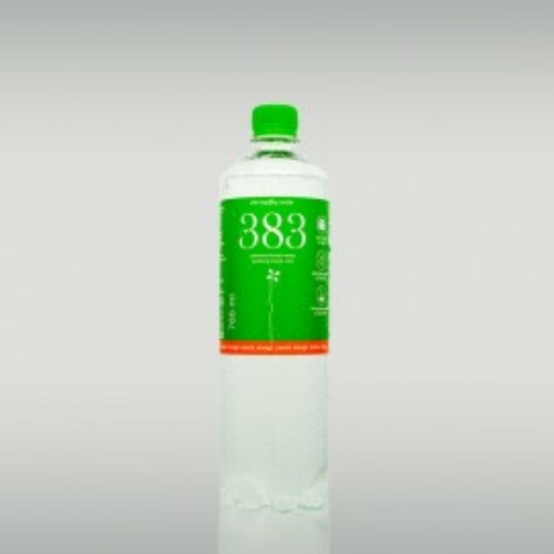 383 The Kopjary Water 766 ml szénsavas mangó-menta